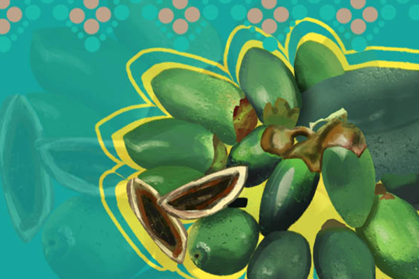 �����ƵĹ�Ч������ �����ƵĽ�����ʲô